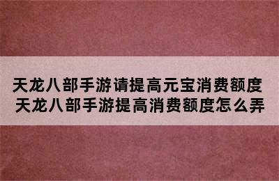 天龙八部手游请提高元宝消费额度 天龙八部手游提高消费额度怎么弄